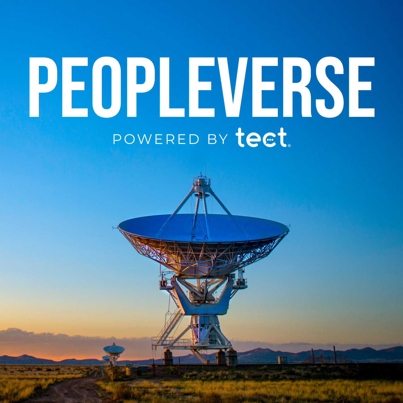 Peopleverse Podcast Cover Artwork 1400px