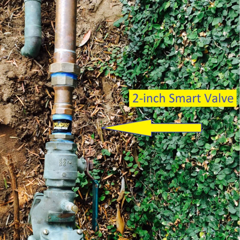 A two-inch Smart Valve on a riser beside landscaping, labelled in the photograph